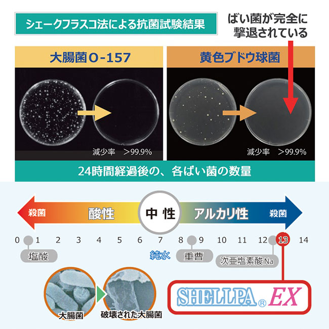 除菌洗浄水　Antibacterial water（SNS-SHE-LLSP）抗菌試験結果