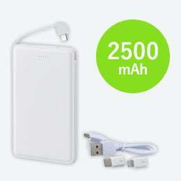 モバイルバッテリー2500mAh（iphone、USB Type-C用アダプター付）