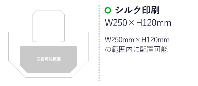 カラークール（トート　小）（aoLC631）プリント範囲 シルク印刷：W250mm×H120mm　W250mm×H120mmの範囲内に配置可能