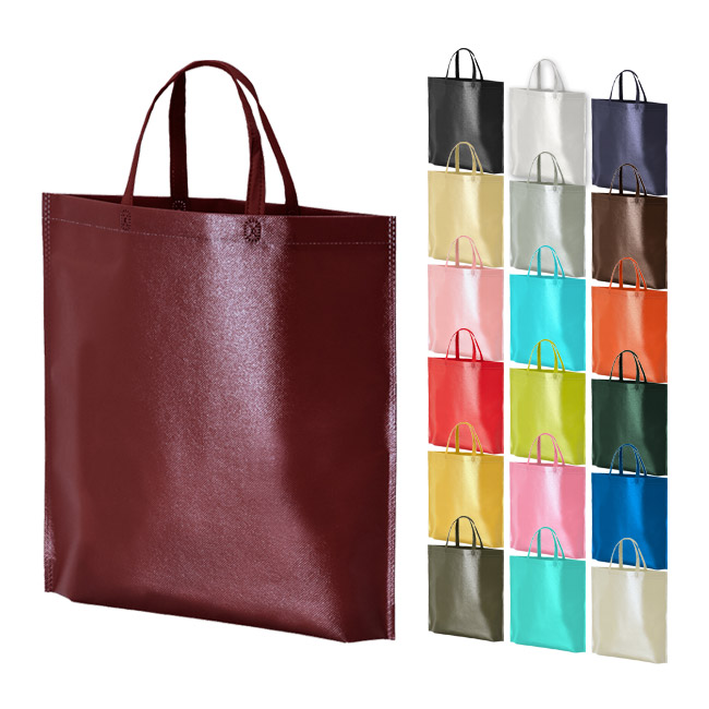 ラミバッグ（底マチ　A4縦）（SNS-2900022）