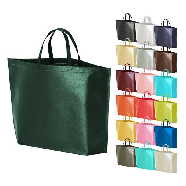 ラミバッグ（底マチ　大）（SNS-2900024）