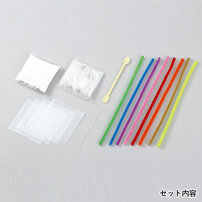 キラキラ結晶づくり【在庫限り商品】（SNS-1700040）セット内容