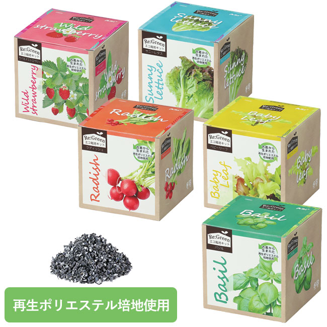 エコ栽培キット Re:Green【在庫限り商品】（SNS-1700059）