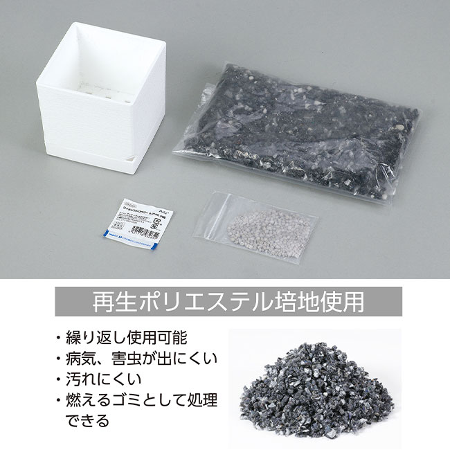 エコ栽培キット Re:Green【在庫限り商品】（SNS-1700059）再生ポリエステル培地使用