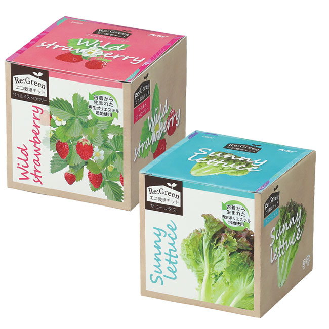 エコ栽培キット Re:Green【在庫限り商品】（SNS-1700059）ワイルドストロベリー、サニーレタス