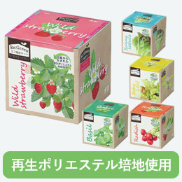 エコ栽培キット Re:Green【在庫限り商品】