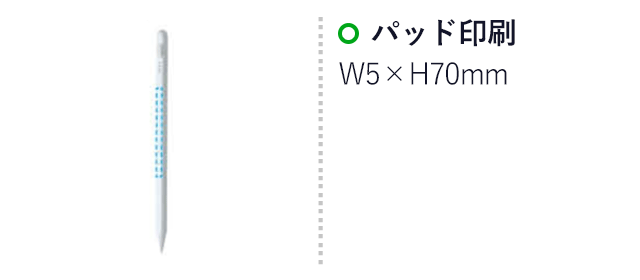 スタイラスペン　Ｔｙｐｅ－Ｃ　急速充電（ｆｏｒ　ｉＯＳ）（SNS-1700085）名入れ画像　パッド印刷　5×70mm