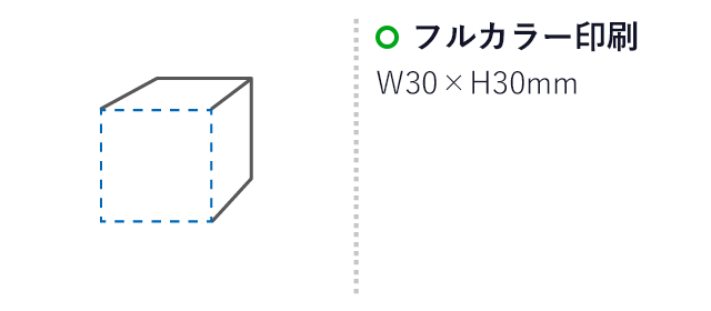 キューブパズルキーホルダー　ベーシック（SNS-1700105）名入れ画像　30×30mm（白い面にのみ印刷されます）