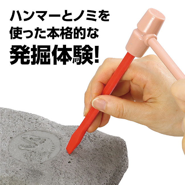 化石発掘キット　ティラノサウルス（SNS-1700133）ハンマーとノミを使った本格的な発掘体験