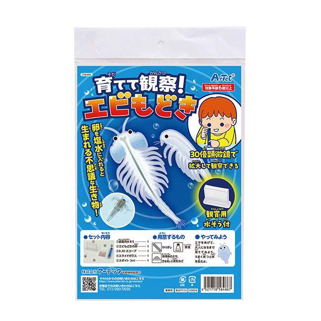 育てて観察！エビもどき（SNS-1700134）