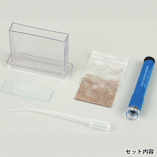 育てて観察！エビもどき（SNS-1700134）セット内容