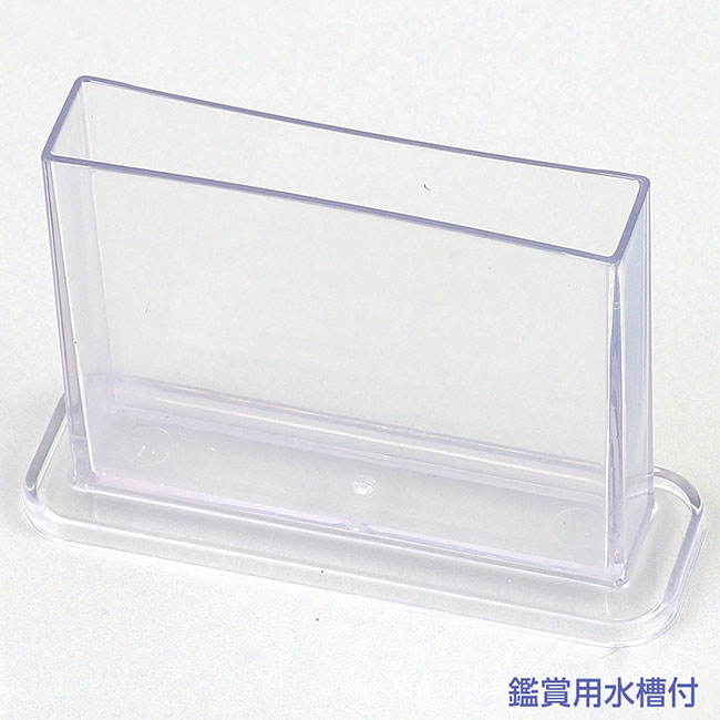 育てて観察！エビもどき（SNS-1700134）観賞用水槽付き