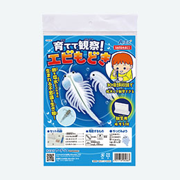 育てて観察！エビもどき