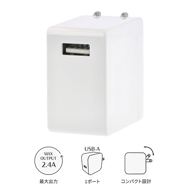 2.4A ACアダプター（SNS-1700158）