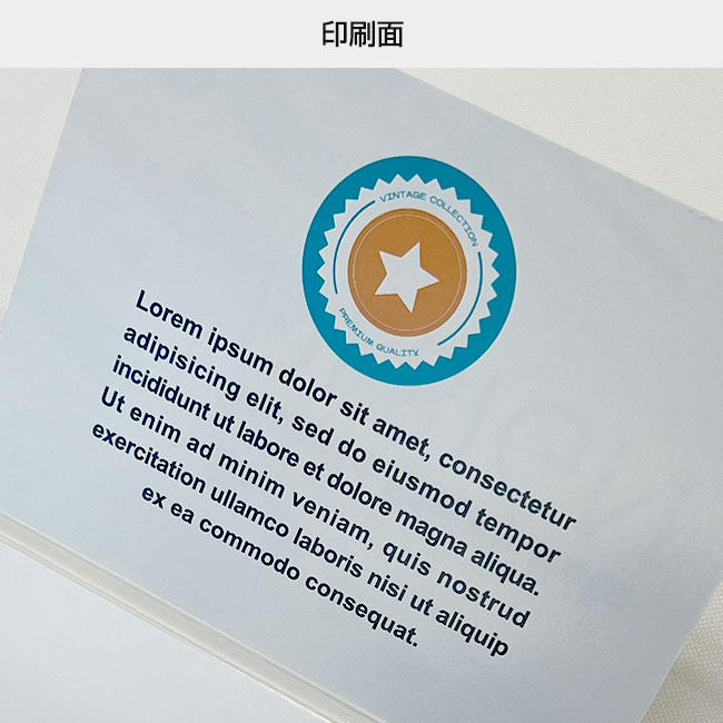 オリジナルふせん 表紙カバー付W105×H80mm 付箋1本タイプ（SNS-3000014）印刷面