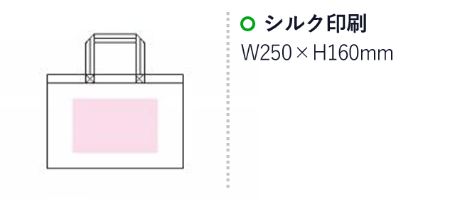 B4エコバッグ（横型)（SNS-1500006）名入れ画像　シルク印刷：W250×H160mm