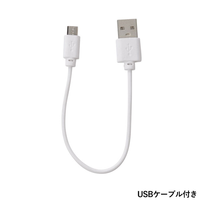 ハンディ フェイスミスト(m34050)USBケーブル付き