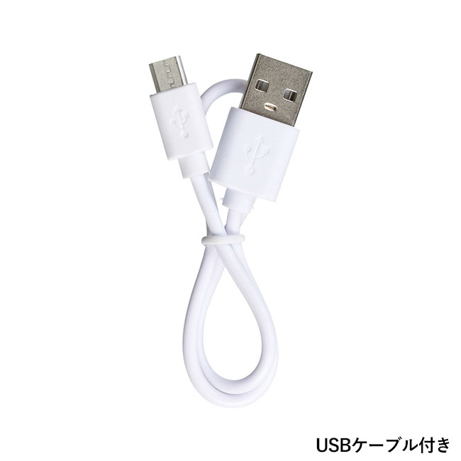 カラビナ付　ポケットファン(SNS-1000028)USBケーブル付き