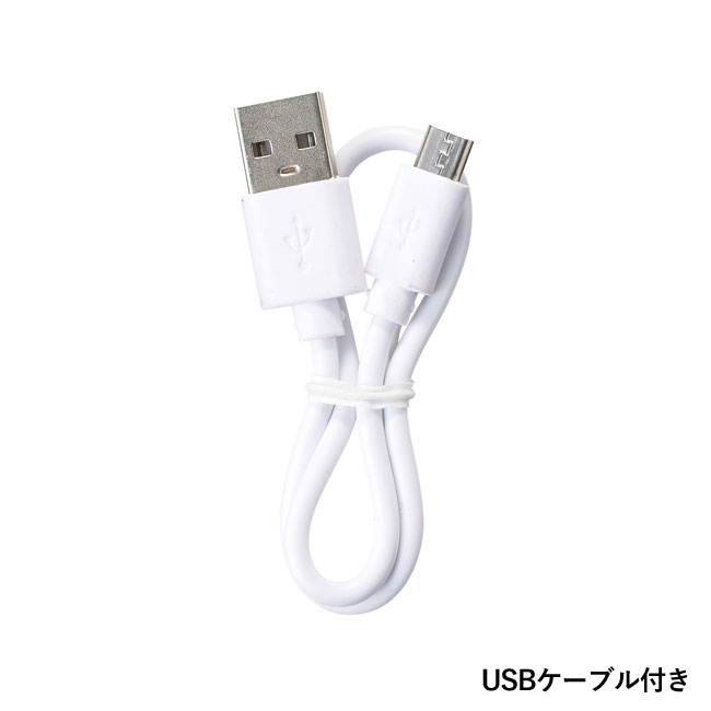 2WAYポケットファン（SNS-1000464）USBケーブル付き