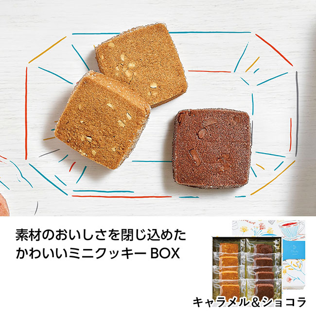 VIVICANクッキー（SNS-1000589）キャラメル＆ショコラ