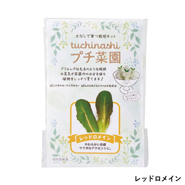 tuchinashiプチ菜園（SNS-1000758）レッドロメイン