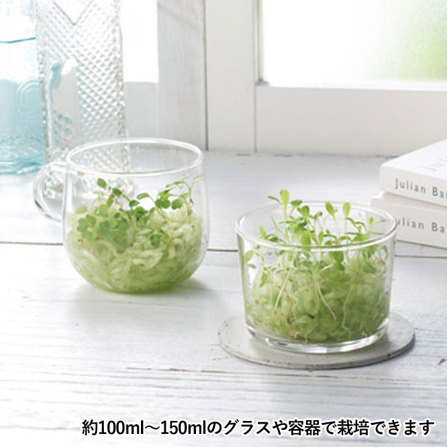 tuchinashiプチ菜園（SNS-1000758）約100ml～約150mlのグラスや容器で栽培できます