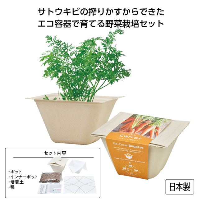 バガスグリーン（SNS-1001169）エコ容器で育てる野菜栽培セット