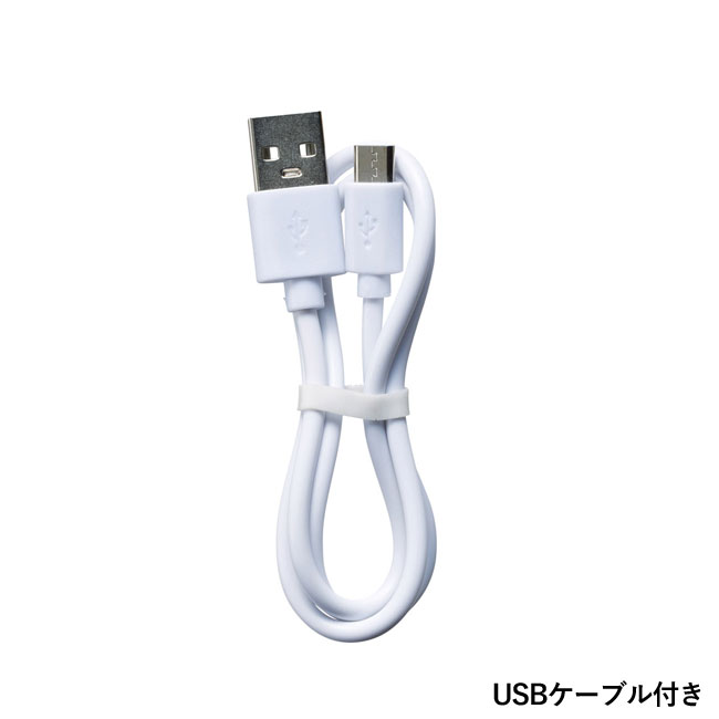 ウォームライン　卓上加湿器（SNS-1001200）USBケーブル付き