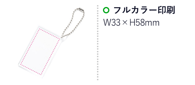 ダイカットキーホルダー【名入れ専用商品】（SNS-1001275）名入れ画像　フルカラー印刷：W33×H58mm