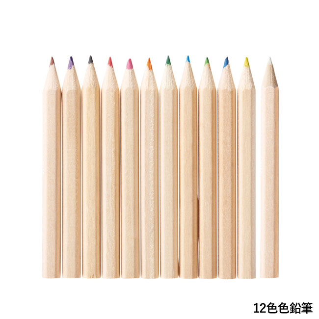 12カラーえんぴつセット筒状ケース入（SNS-1001382）12色色鉛筆