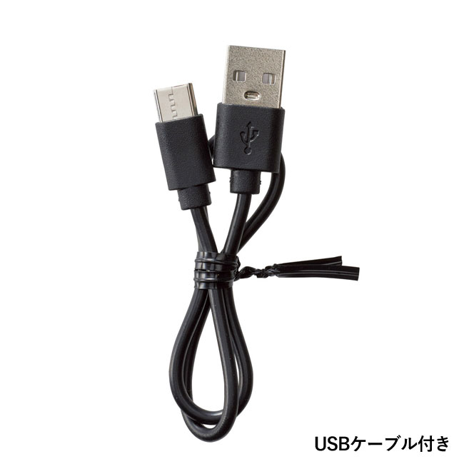 冷却プレート付　ポータブルファン（SNS-1001476）USBケーブル付き