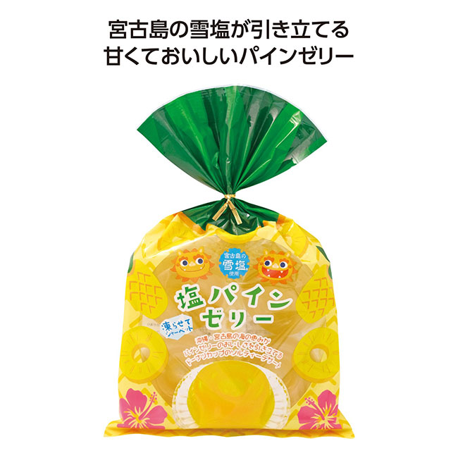 凍らせて食べる塩パインゼリー4個入（SNS-1002112）