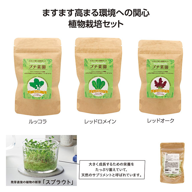 土なしプチ菜園栽培セット（SNS-1002278）