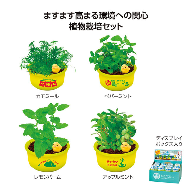 育てるカプセル ゆ桶でハーブ栽培（SNS-1002279）