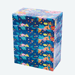 エコフラワーBOXティッシュ150W5個組