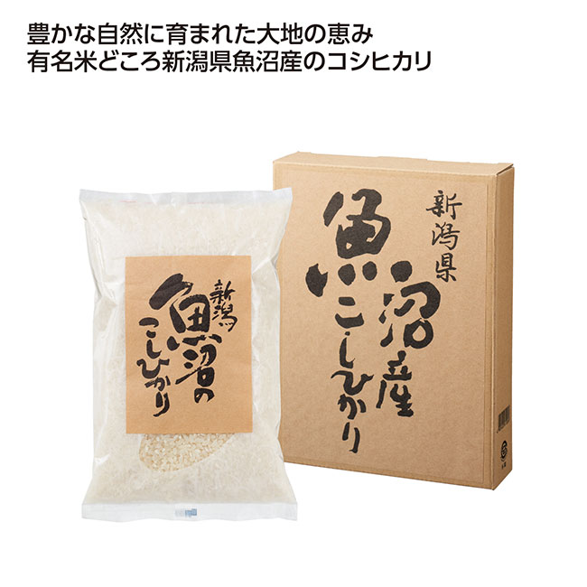 新潟魚沼産こしひかり700g(SNS-1002562)