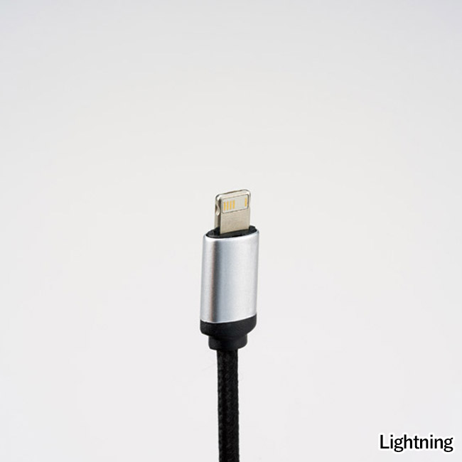 カラビナ付USBマルチケーブル(SNS-1002778)Ligtning