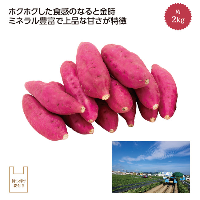 鳴門里浦産「吉岡さんちのなると金時」Ｍ2kg（SNS-1002815）