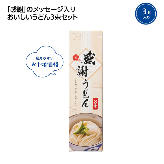感謝うどん3束(SNS-1002830)