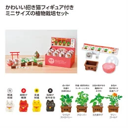 育てるカプセル 賽銭招き