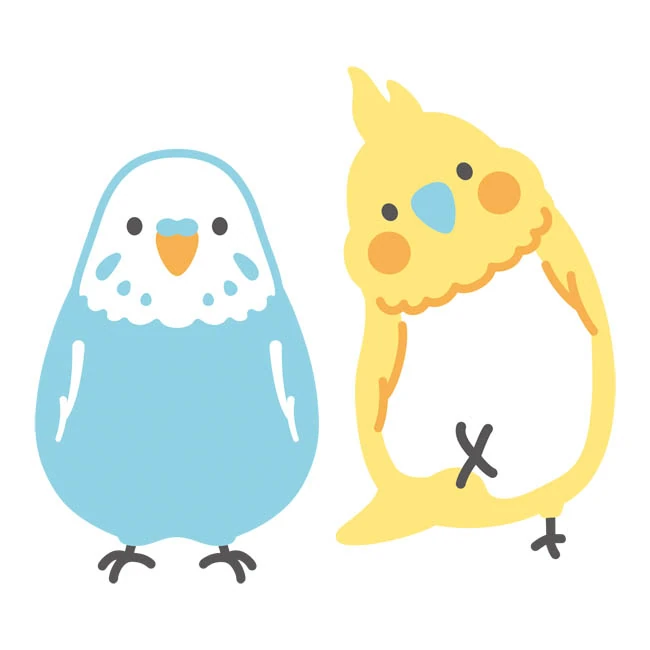 プリント洗濯ネット インコ柄(SNS-1003041) 柄イラスト(セキセイインコ・オカメインコ)