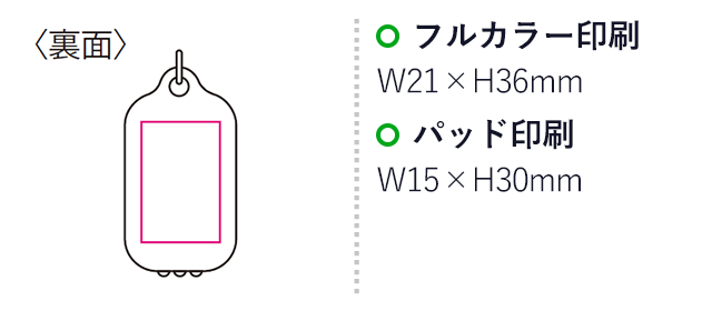 ソーラーライトキーホルダー（mcFC013）名入れ画像　パッド印刷30×15mm　フルカラー印刷36×21mm