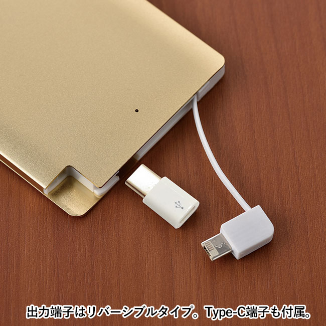 メタリック充電器2500（mcMA043）出力端子はリバーシブルタイプ。Type-C端子も付属。