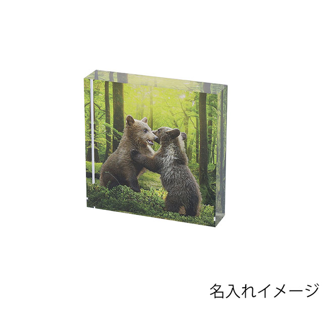 アクリルブロック（SNS-1200195）名入れイメージ