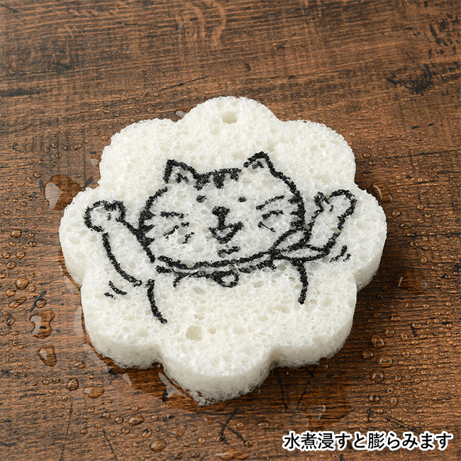 ふくらむマジックスポンジ（SNS-1200214）水に浸すと膨らみます