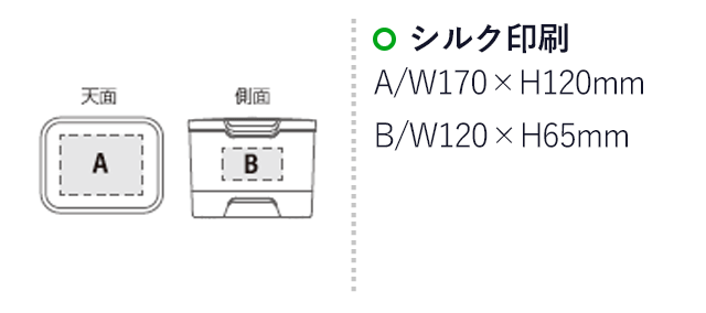 収納上手なコスメボックスDX（SNS-2400059）名入れ画像　シルク印刷　A：W170×H120mm　B：W120×H65mm