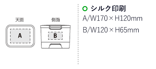 収納上手な救急箱（SNS-2400060）名入れ画像　シルク印刷　A：W170×H120mm　B：W120×H65mm