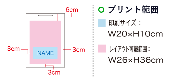 シャイニーバッグL（SNS-1100006）名入れ画像　印刷サイズ：W20×H10cm　レイアウト可能範囲：W26×H36cm