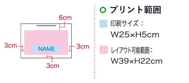 シャイニーバッグL-W（SNS-1100007）名入れ画像　印刷サイズ：W25×H5cm　レイアウト可能範囲：W39×H22cm