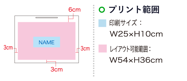 シャイニーバッグLL-W（SNS-1100008）名入れ画像　印刷サイズ：W25×H10cm　レイアウト可能範囲：W54×H36cm